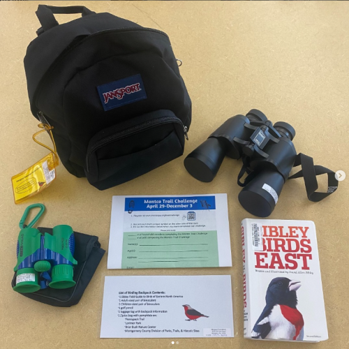 Adults Abington Township Public Library